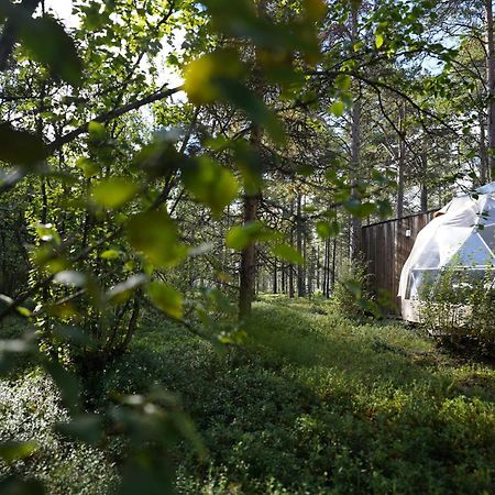 Glod Aurora Canvas Dome Alta Exteriér fotografie