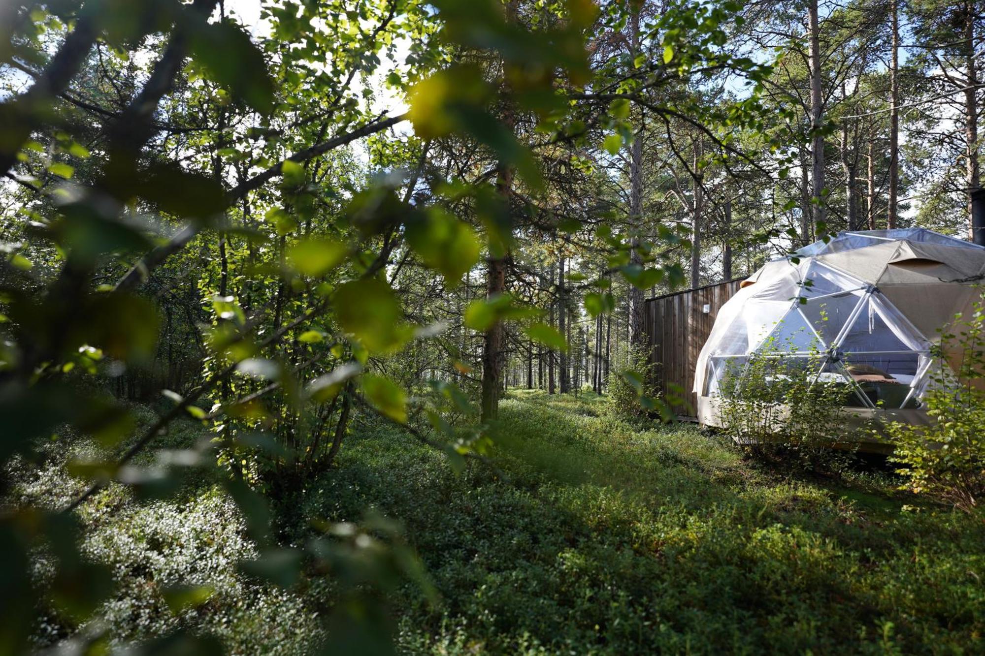 Glod Aurora Canvas Dome Alta Exteriér fotografie