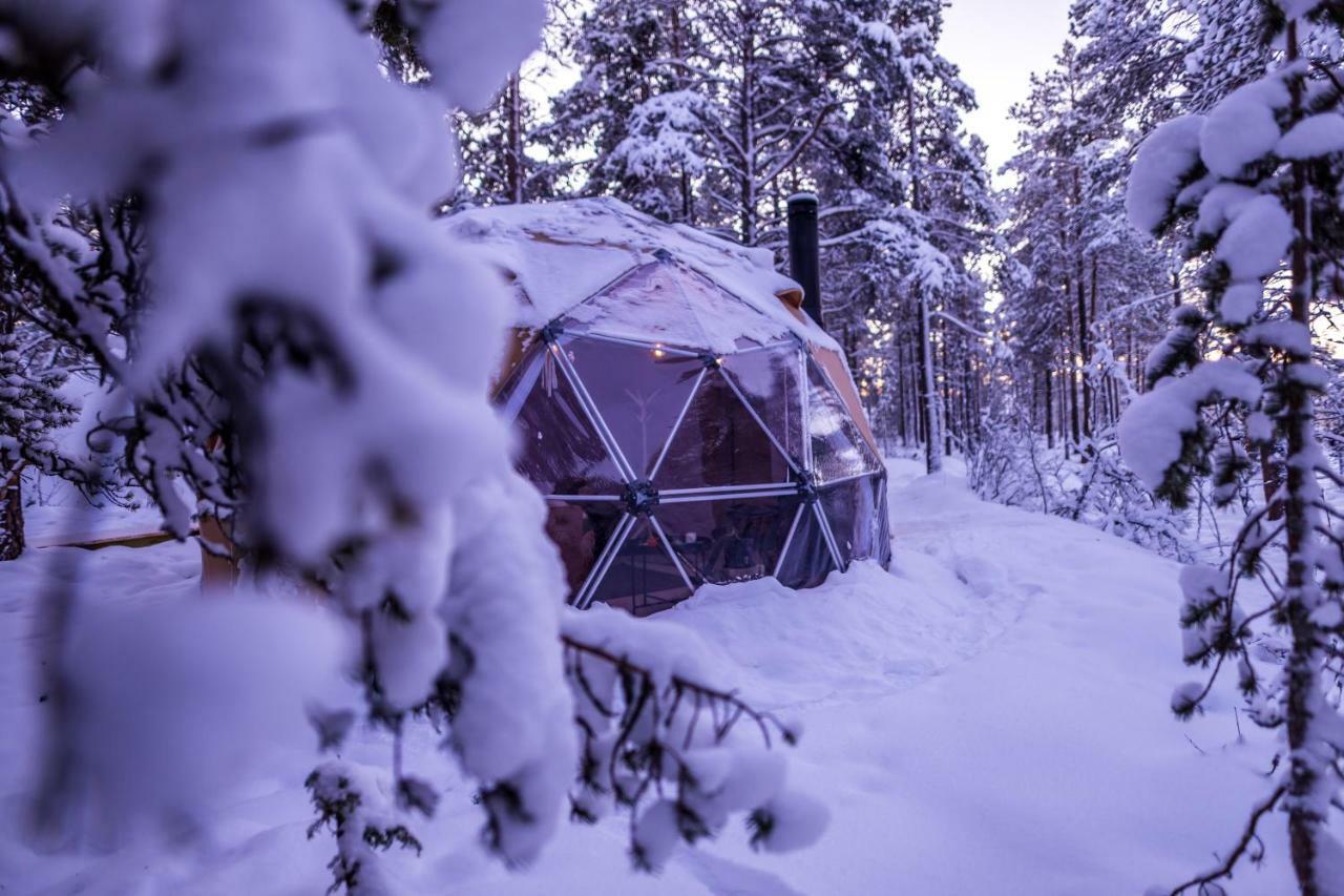 Glod Aurora Canvas Dome Alta Exteriér fotografie