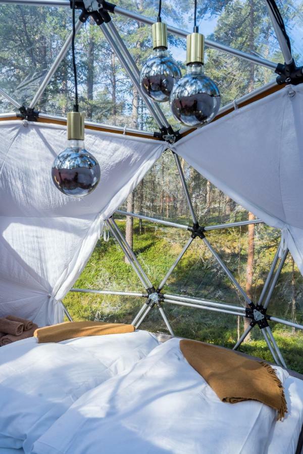 Glod Aurora Canvas Dome Alta Exteriér fotografie